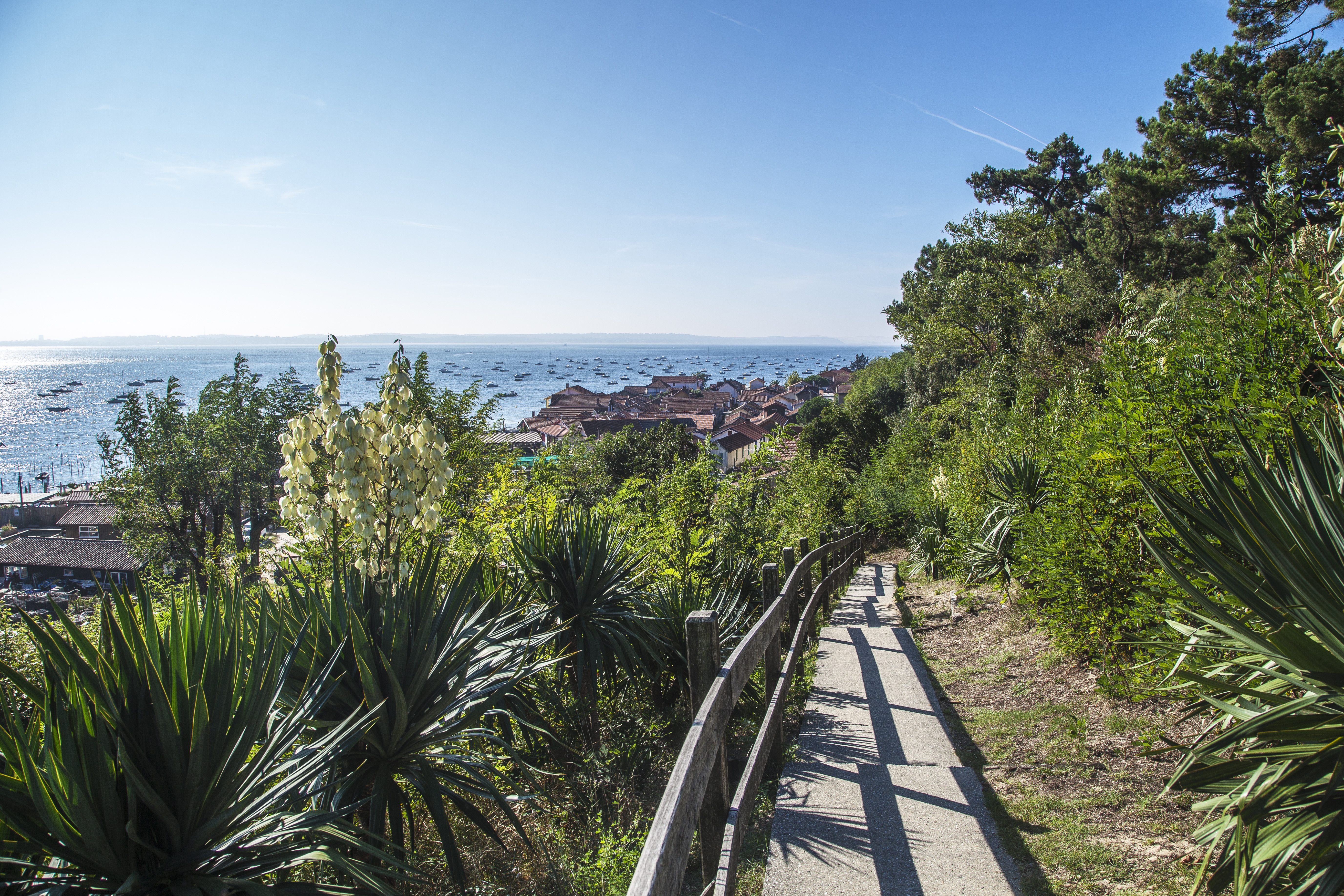 vue sur la presqu'ile du cap ferret