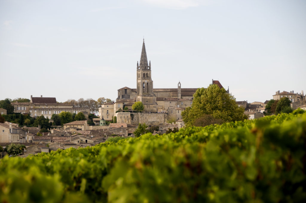 saint-emilion derrière son vignoble